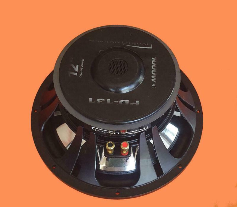 Alternative view of Phoenix Digital - 30cm 12" 1000W